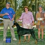 Winners Dog:  Foxfire's D'Domino Effect
Owned By John & Paula Schwerin & Michelle Santana