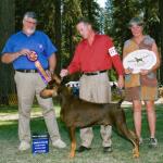 Best Of Breed:  Ch. Promise's Beau Rivage V Olympia
Owned By Joe & Pat Policastro