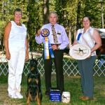 High In Trial & High Scoring Dog:  Ch. Platinum's Black Again CD
Owned By Art & Sue Korp