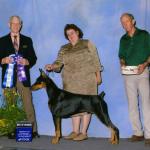 Best Of Winners/Winners Dog:  Ravensown N High Velocity
Owned By Kim Owen & Michelle Santana