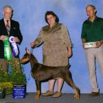 Best Puppy:  Foxfire's NKO Mad About You
Owned By Michelle Santana & Kim Owen