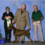 Best Senior/Grand Sweepstakes:  Irongate's Love At First Sight
Owned By Eve & Roger Auch & Eric Peterson