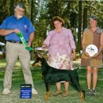 Best Puppy:  Foxfire's Take 'N It All
Owned By Michelle Santana & Katherine Torre