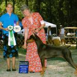 Best Junior/Grand Sweepstakes:  Floridale's Ruby Slippers
Owned By Jeneane Wilsey