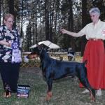 Winners Dog: Marienburg's Hallmark Of Beowulf
Owned By Beth Harris