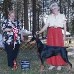 Best Opposite:  Ch. Tevro's Southern Belle
Owned By Arlene Padilla & Trevor Miller