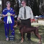 Best Veteran Sweepstakes:  Ch. Jalar Dandy
Owned By Wayne & Bellinda Rossmiller