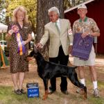 Best Of Breed:  Ch. Marienburg's Inaqui Sukiyaki
Owned By Mary Rodgers & Jo-Ann Kusumoto