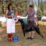 Best Senior/Grand Sweepstakes:  Cha-Rish Midnight Hunter For JJ
Owned By Judy & George Johnson