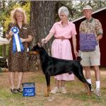Best Of Winners/Winners Dog:  Ravenkreke Snake Oil
Owned By Margaret Bragg