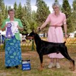 Winners Dog:  Ravenkreke Snake Oil
Owned By Margaret Bragg