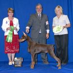 Best Puppy AM Specialty:  Ren'ssance De Otra Tierra
Owned By Wayne & Belinda Rossmiller