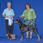 Best Of Winners/Winners Dog PM Specialty:  Foxfire's Illusion Of Time
Owned By Fred Paulos