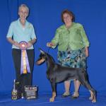 Best Of Breed PM Specialty:  Ch. Protocol Veni Vidi Vici
Owned By Kevin & Jocelyn Mullins