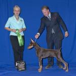 Best Puppy PM Specialty:  Tsunami Peek-A-Boo
Owned By Lindsey Freeman