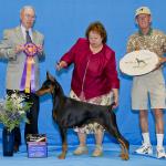 Best of Breed: GCh. Catawba's Take No Prisoners CD