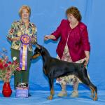 Best of Breed: GCh. Catawba's Take No Prisoners CD