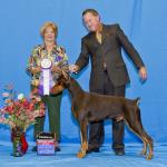 Reserve Winners Dog:  Tsunami's Boo Jeans