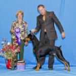 Winners Dog:  Finika's Titan V Wingate