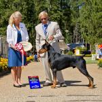 Best Opposite:  GCH Delkamar's Rising Star Of Manorie
Owned By Elizabeth M & Dr. Kenneth C. Kamuller