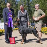 Winners Dog:  'Ren'ssance Set In Stone
