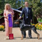 Winners Dog: Irongate's Sierra Phoenix Rising
