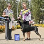 Ch. Foxfire's Ain't An Illusion CDX TD MX MXJ NFP CAA RE ROM
Breeders:  Michelle Santana & Katherine Torre;  Owners:  Ruth Ann Madamba & Michelle Santana