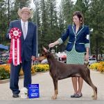 Ch. Rauschund's Fast Cars And Freedom BN
Breeders:  Carole Havener Francoise Allard & Robert Brousseau;  Owners:  Mackenzie Baishiki & Marilyn Altheide