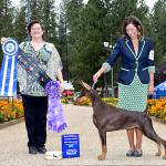 Foxfire's Paint The Town Red
Breeders:  D Irvine, R Madamba & M Santana;  Owners:  Ruth Ann Madamba, Donna Irvine, & Michelle Santana