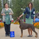 Cha-rish N Darwin Let's Dance At Noon
Breeders:  Joan Witt, Joan Noon, Hiromi Tamura;  Owners:  Marilyn Altheide, Erin P Cody, & Darlene Young