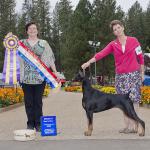 Ch Winmar's Chase'N The Dream
Breeders:  Lisa Burroff & Beth Wilhite;  Owners:  Lisa R Burroff & Nancy Bletzer