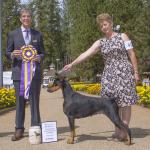 GCh. Winner's Chase'n The Dream