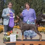 Winners Dog:  Foxfire's Tell Me I'm An Angel