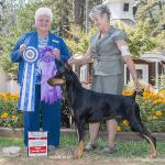 Winners Dog/BOW:  Soquel's House Of The Rising Sun
