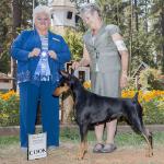 Reserve Winners Bitch:  Soquel's Penny Pinscher
