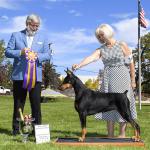 BOB: GCH Pennylane Ole Time Style V Synergy