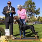 Best Puppy: Florindale's Pickin Daisies D'Vine