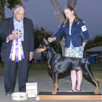 Best of Breed: CH Crosswind's Distance Over Time