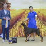 Best Of Breed: GCH RDC's Making Fetch Happen