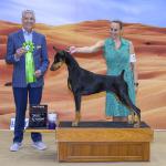 Best Puppy: Starlite's Finesse
